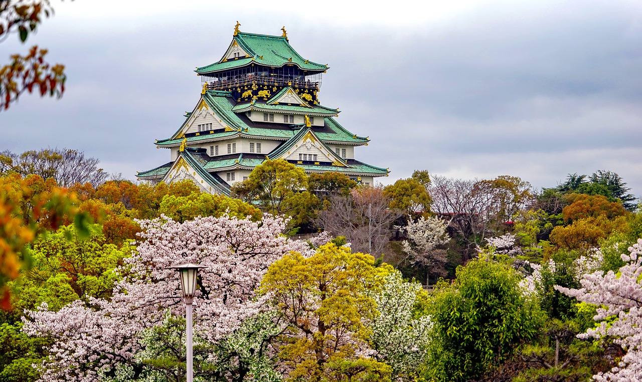 张家口追寻梦想的起点：为何选择高考后去日本留学？